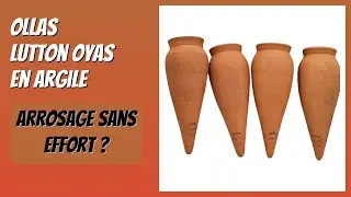 AVIS (2026) : Ollas Lutton Oyas en Argile. DÉTAILS
