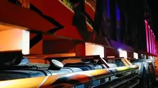 Diosi 999 orange