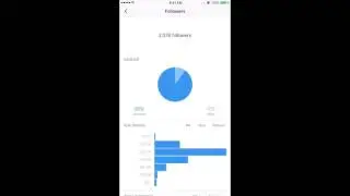 New Instagram Business Profiles: How to get Instagram Insights