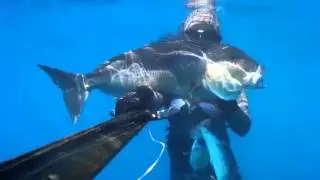 Pesca Sub: Denticione xxl del 24-10-2015