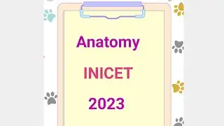 Anatomy INICET PYQs discussion | 2023 paper part 3 |