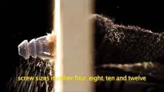 Walldog Triple Grip subtitles
