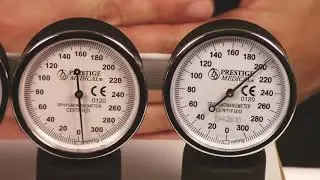 Blood Pressure Gauge Calibration