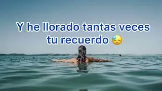 El Celestino - Luis Miguel del amargue (Letra)