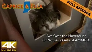 Ava Gets the Hoveround... | Caprice & Ella 911 Clean