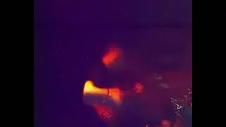 Lignjoslav - Tajni drot + Grajnd (2006 LIVE VIDEO)