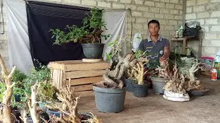 Obral bahan dn murbai asik di lapak mz Turinat 0821 4033 2043