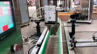 Automatic 500g 1000g Coffee Milk Powder Bottle Filling Machine