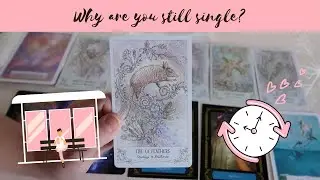 💕Why are you still SINGLE? | Pick a Card Tarot Reading | Finding Love 💖