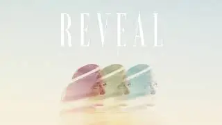 #110 Reveal (Official)
