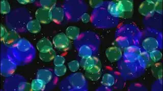 BALOON OVERLAY  || Birthday party