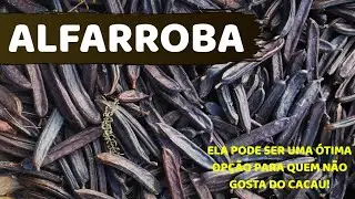 Alfarroba o que é? Alfarroba serve para quê?