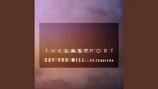 Say You Will (feat. Tequisha)