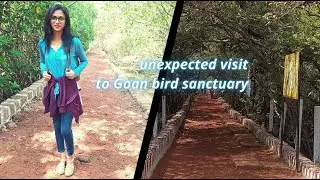 CHORAO ISLAND //GOAN DR SALIM ALI BIRD SANCTUARY