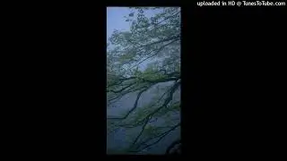 [free] feng + llodnon actress type beat 