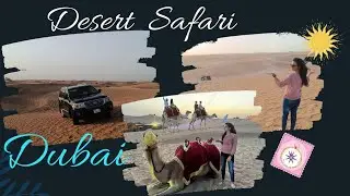 Desert🏜️safari 2023 @al lahbab desert |Dubai🇦🇪| 4K