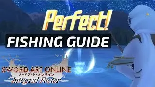 How to Fish and Which Rod is the Best Complete guide SAOIF