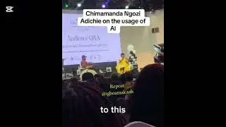 Chimamanda Comments on use of AI to write | Nigerian Literature