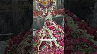 mira datar dargah sharif New qawwali whatsapp 😍status video 📷 dargah sharif contact +917383844392