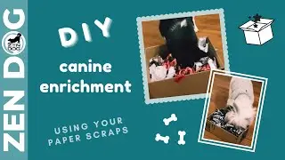 D.I.Y. Canine Enrichment