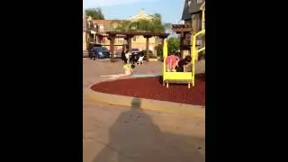 Playground Bully