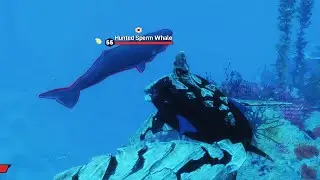 Man Eater - Ending and Final Boss Fight - The Gulf