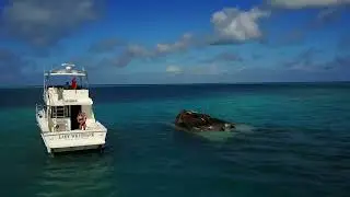 Set Sail At Hamilton Princess Bermuda