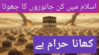 #Islam mein कौन-कौन janwar ka jhutha khana haram hai#Islam mein janvaron ka jhutha Khana Haram hai 