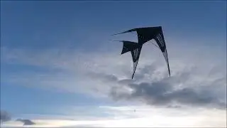 Dave Bredefeld with Rave Super Vented Sport Kite.