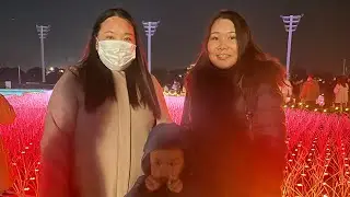 TOKYO MEGA ILLUMINATION MERICHIRISTMOS