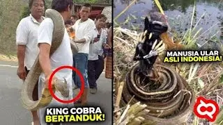 Berhasil DITANGKAP & DIUNGKAP!! Begini Fakta Dibalik Penemuan&sup2; Ular Aneh yang Bikin Heboh Netizen