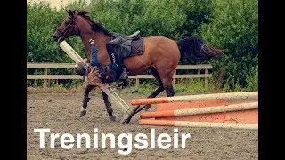 Rideleir stall friheten | uke 28