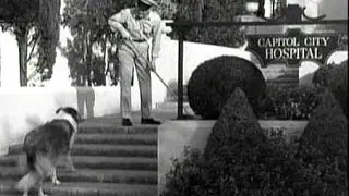 Lassie - Episode #132 - 