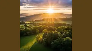 Morning Sunshine