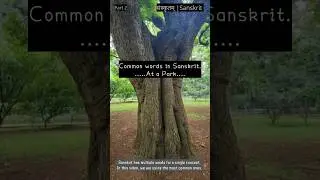 Sanskrit Park Video &ndash; Part 2 | Park Vocabulary in Sanskrit for kids | पार्क की चीज़ें संस्कृत में