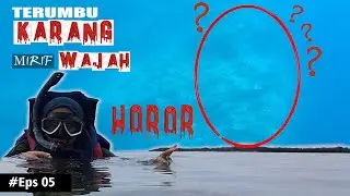 Pulau Menjangan Bali Barat. Ciut nyaliku #Eps 5 | Keliling Pulau Jawa |