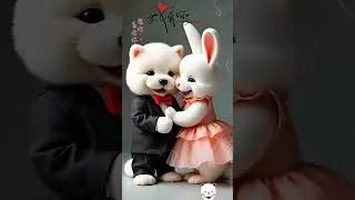 Today is the wedding of two rabbits? #rabbit #bunny #animals #cute #cutebunny #bunnylife #tinybunny