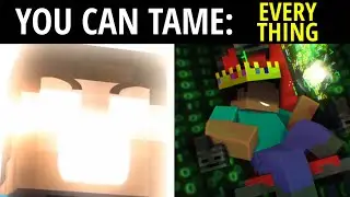 Steve Becoming Canny (You Tame)