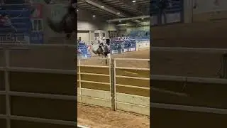 Jelly Bean Bareback Bronc #rodeo #bareback #acra #rodeo #shorts