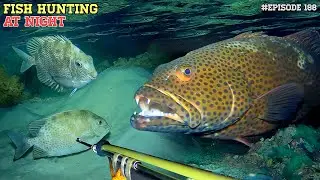 NIGHT SPEARFISHING EPISODE 188 | FISH HUNTING AT NIGHT