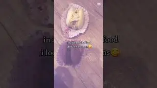I lowvv macarons🫶❤️#food#trend#viral#fypplo#blowout#macarons#lovee