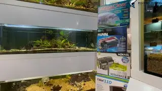 Seachem Tidal 110 vs Fluval C4 vs Aquaclear 70 vs AquaEl VersaMax 3 &bdquo;Test długodystansowy&rdquo;