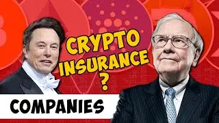 Is Your Cryptocurrency Safe? Top 10 Crypto Insurance Companies