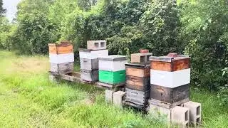 ELM GROVE APIARY! Oxalic acid mite treatment. Pre work game planning.  Part 1 of 3