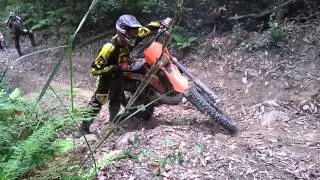 Nerong State Forest - The Hill 4