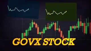 GOVX Stock Market News - Geovax Labs Stock Trading and Analysis