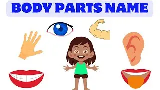 PARDS OF BODY|body parts|body parts name in english