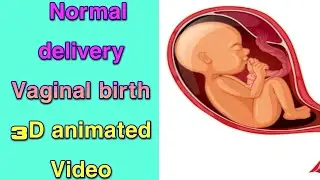 Normal delivery |vaginal birth | 3D animation  video of vaginal delivery