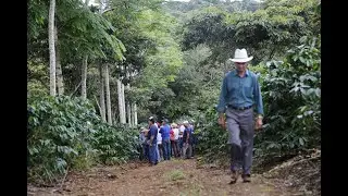 Costos de producción de café en la actualidad