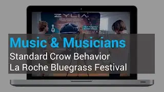 Standard Crow Behavior at La Roche Bluegrass Festival 2019 (France)